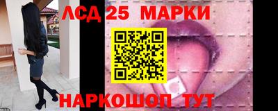 прущие грибы Заволжье