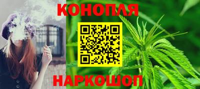 прущие грибы Заволжье
