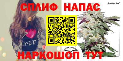 прущие грибы Заволжье